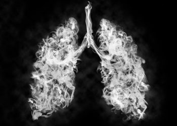 Image of smoke in the shape of human lungs, on a black background with gray and white smoke.