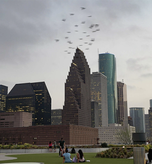 Birds fly by the Houston skyline as the sun sets on Monday, March 6, 2023. A new study finds urban residents are less anxious than their counterparts. 