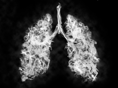 Image of smoke in the shape of human lungs, on a black background with gray and white smoke.